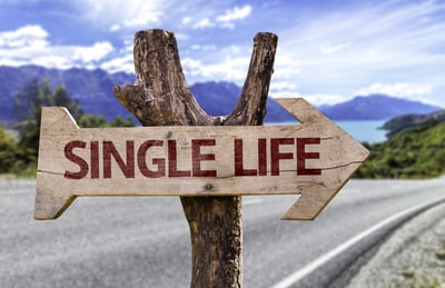 Single Life wooden sign with a road background